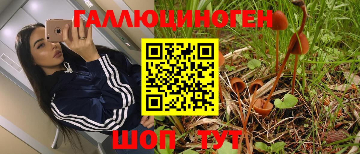 Ноябрьск  Галлюциногенные грибы мухоморы  Вход с VPN 